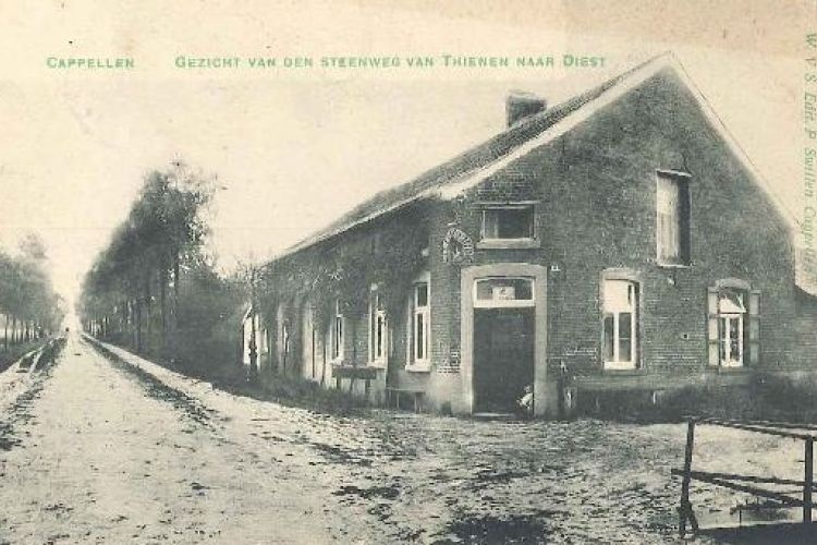Dorpszicht Steenweg